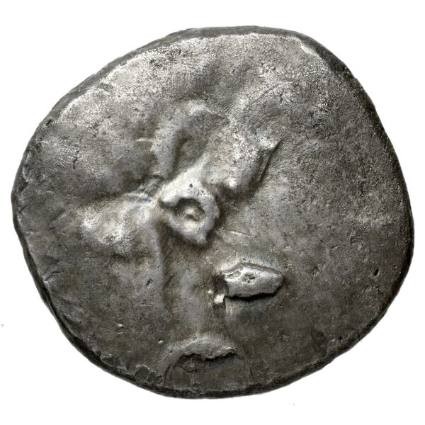 Lapethus BMC Lapethus 2-6, аверс, bnf-iris