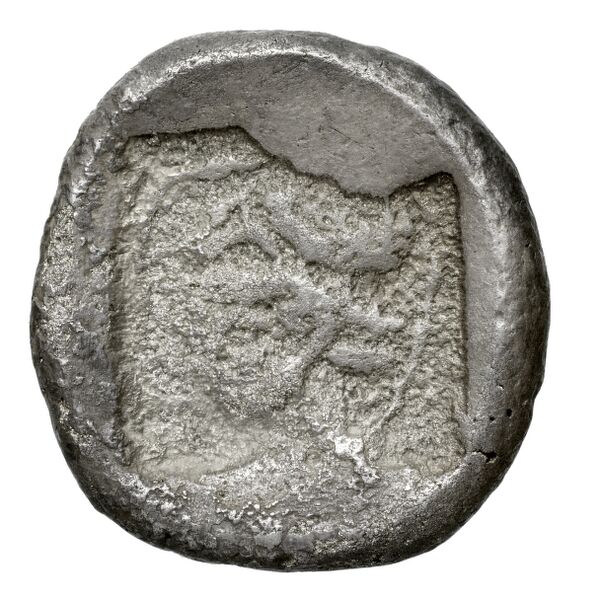 Lapethus BMC Lapethus 2-6, реверс, bnf-iris