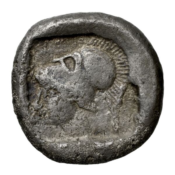 Lapethus BMC Lapethus 2-6, реверс, bnf-iris