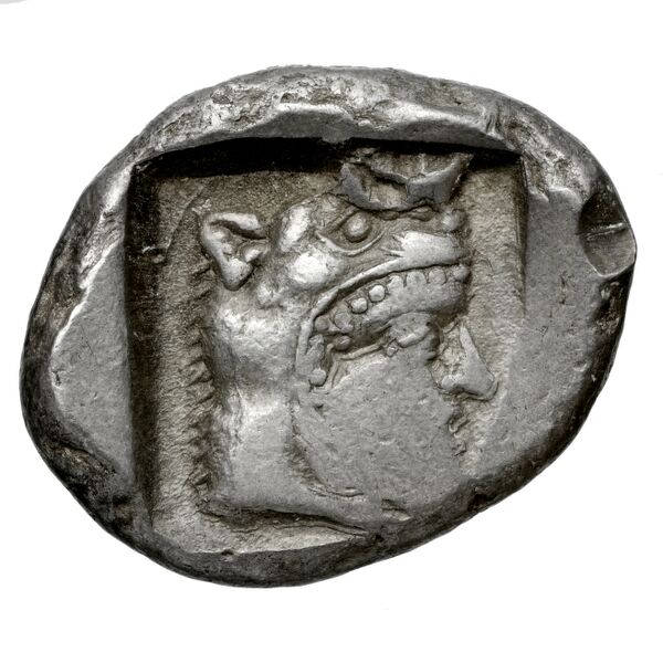 Lapethus BMC Lapethus 2-6, реверс, bnf-iris