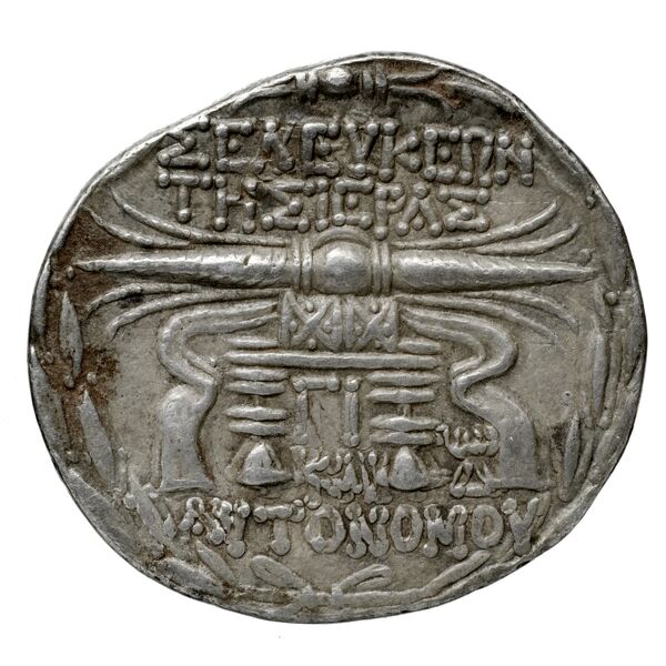 Seleuceia Pieria BMC Seleuceia in Pieria 16-23, реверс, bnf-iris
