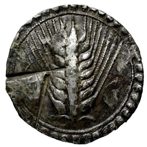 Metapontum Historia Numorum Italy 1459, аверс, bnf-iris