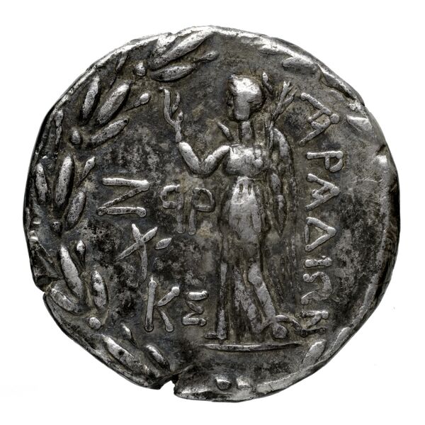Aradus Duyrat 2005 3010-4227, реверс, bnf-iris