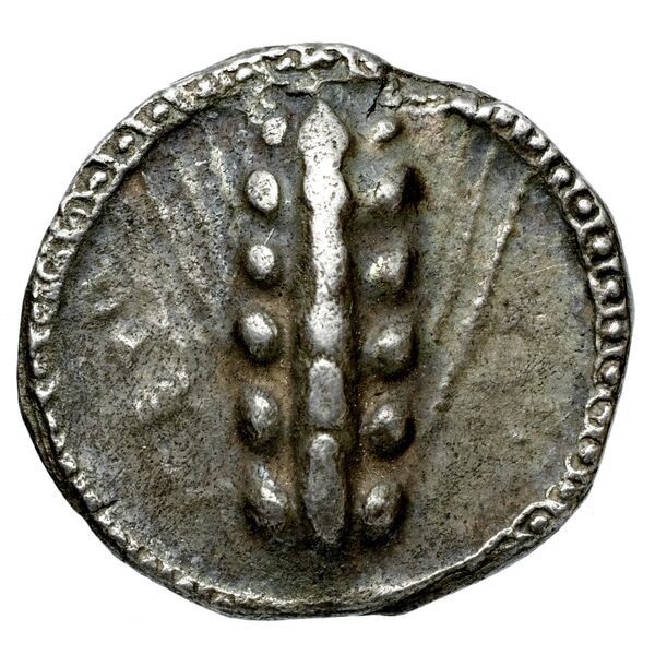 Metapontum Historia Numorum Italy 1482-3, аверс, BnF (IRIS)