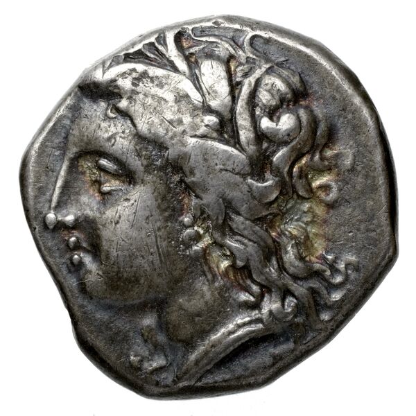 аверс Metapontum Historia Numorum Italy 1585-93