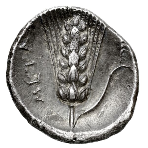 реверс Metapontum Historia Numorum Italy 1612-20