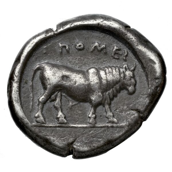 Poseidonia Historia Numorum Italy 1116, реверс, BnF (IRIS)