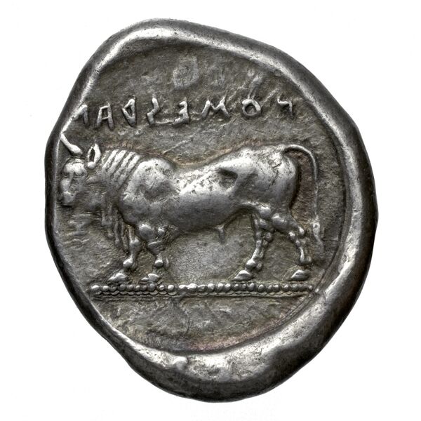Poseidonia Historia Numorum Italy 1116, реверс, BnF (IRIS)