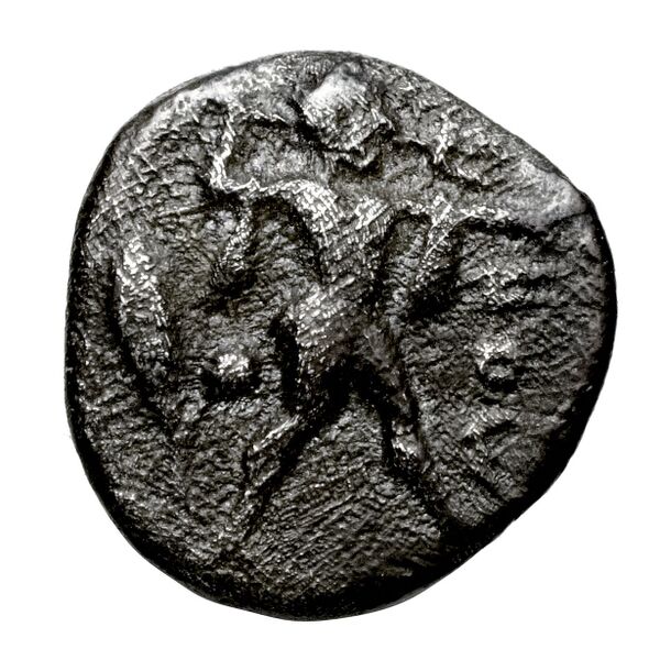 Poseidonia Historia Numorum Italy 1119, аверс, BnF (IRIS)