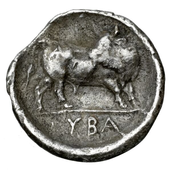 Sybaris Historia Numorum Italy 1751, реверс, bnf-iris