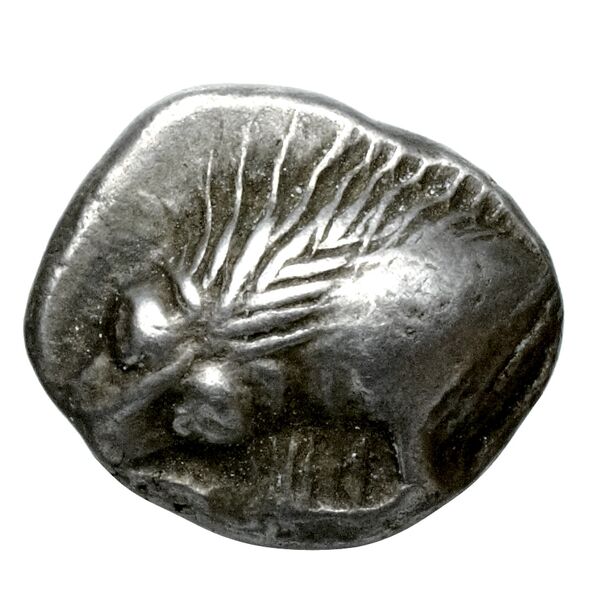 аверс Velia Historia Numorum Italy 1261
