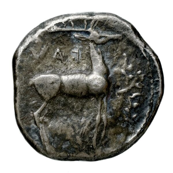 Caulonia Historia Numorum Italy 2046, реверс, bnf-iris