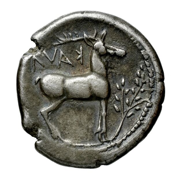 Caulonia Historia Numorum Italy 2046, реверс, bnf-iris