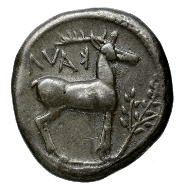 Caulonia Historia Numorum Italy 2046, реверс, bnf-iris