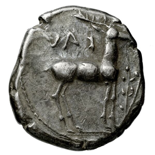 Caulonia Historia Numorum Italy 2046, реверс, bnf-iris