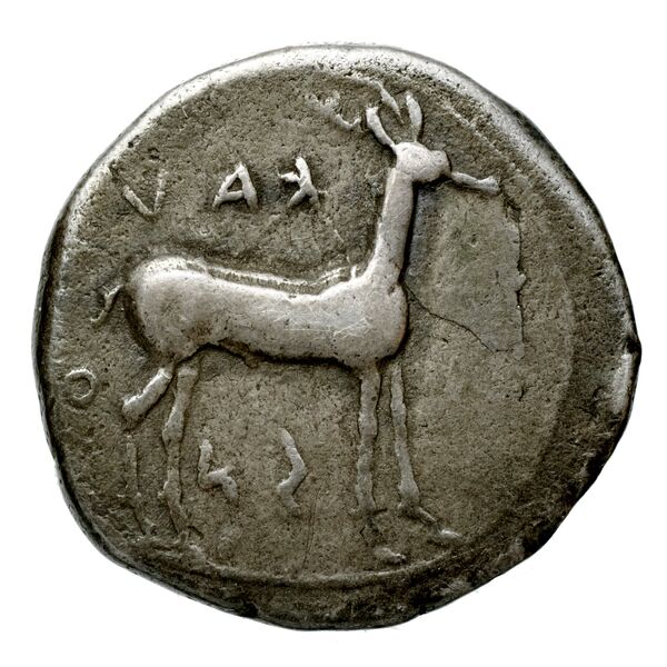 Caulonia Historia Numorum Italy 2046, реверс, bnf-iris
