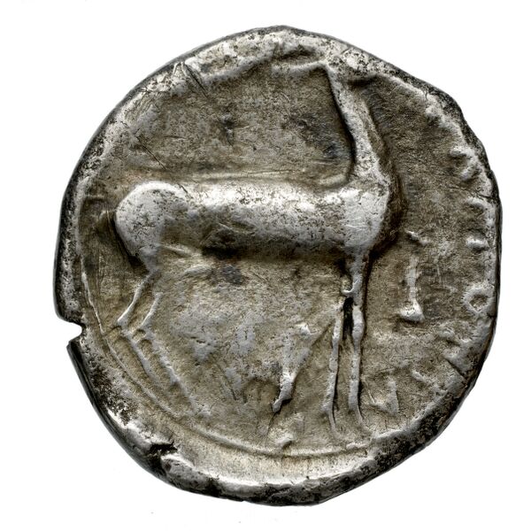 Caulonia Historia Numorum Italy 2049, реверс, bnf-iris