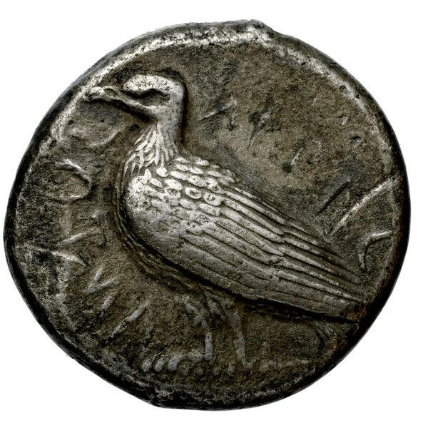 Agrigentum SNG ANS 964, аверс, bnf-iris
