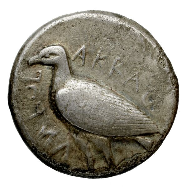 Agrigentum SNG ANS 964, аверс, bnf-iris