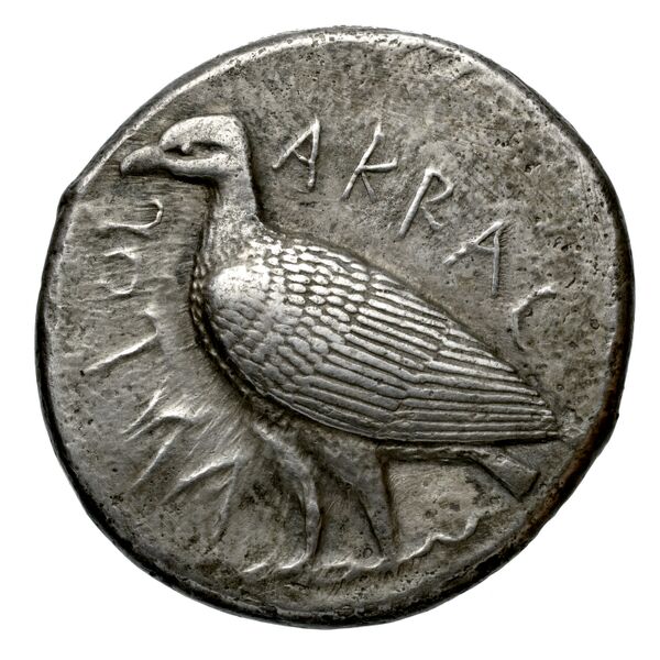Agrigentum SNG ANS 964, аверс, bnf-iris