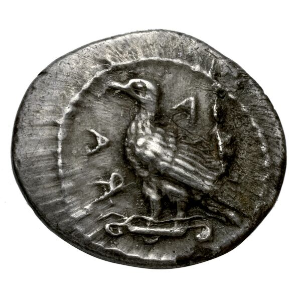 Agrigentum SNG ANS 989-995, аверс, bnf-iris
