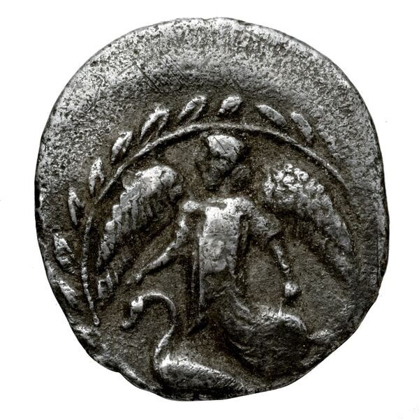 Camarina Westermark and Jenkins 1980 10-129, аверс, bnf-iris