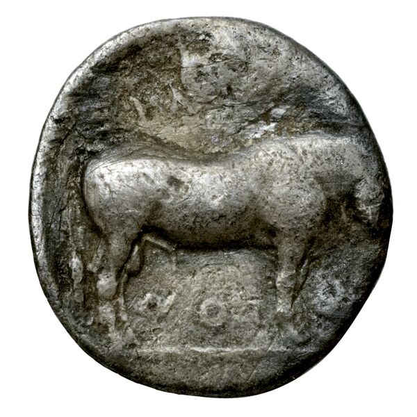 Selinus SNG ANS 711-712, аверс, bnf-iris