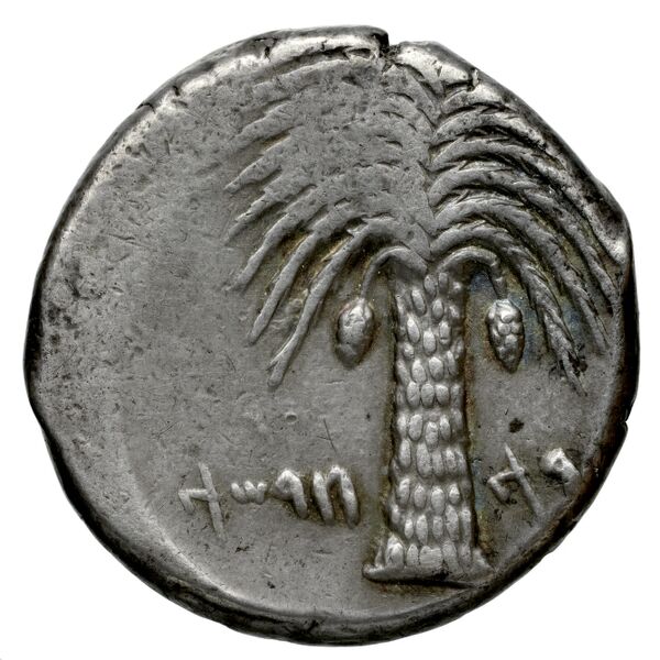 Carthaginian Empire Carthage Jenkins 1974 Carthage series 1, 1-37, реверс, BnF (IRIS)
