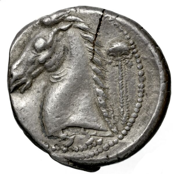 Carthaginian Empire Carthage Jenkins 1977 Carthage series 3, реверс, bnf-iris