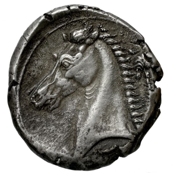 Carthaginian Empire Carthage Jenkins 1977 Carthage series 3, реверс, bnf-iris