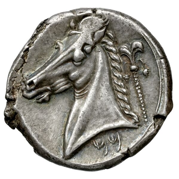 Carthaginian Empire Carthage Jenkins 1977 Carthage series 3, реверс, bnf-iris