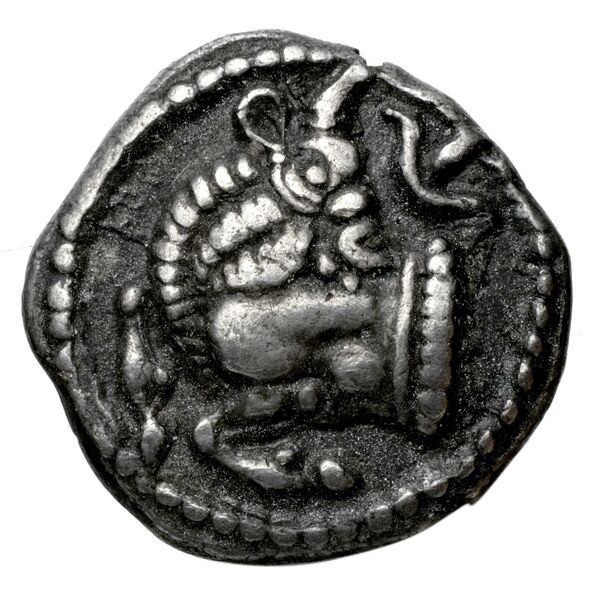 аверс Acanthus Tselekas 1996 Period A, T1-3; B, T5-7; DR1-2