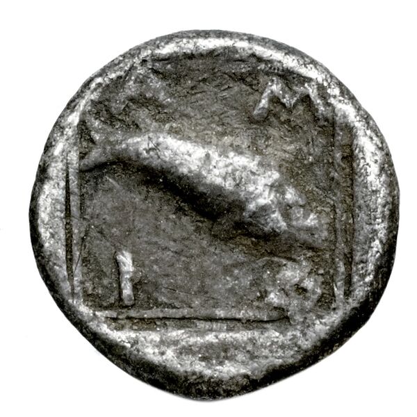 Amphipolis Lorber 1990 Obol, реверс, bnf-iris