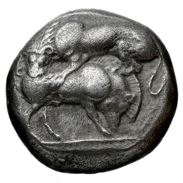 аверс Stageira Cahn 1973 Period 3-4, tetradrachms
