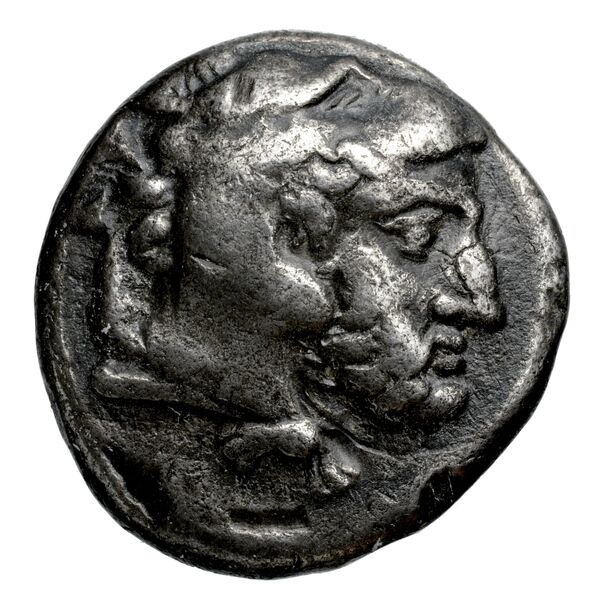 Amyntas III of Macedon Macedon SNG ANS 87-93, аверс, bnf-iris