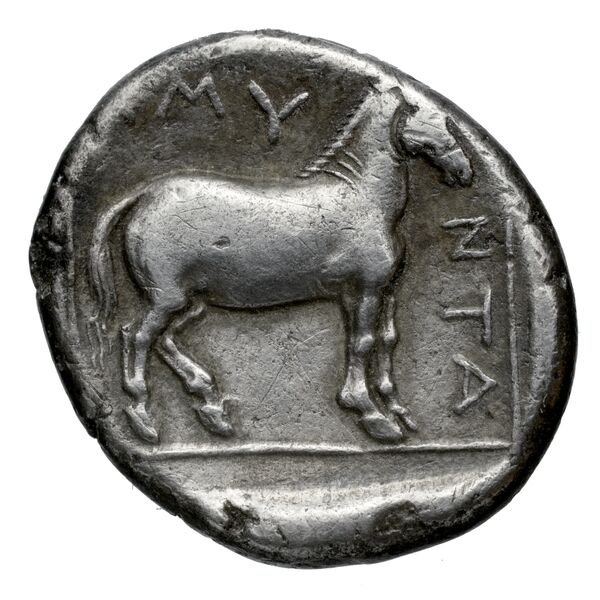 Amyntas III of Macedon Macedon SNG ANS 87-93, реверс, bnf-iris