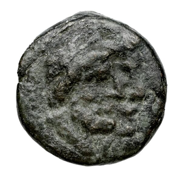 Aradus Duyrat 2005 4228-4381, аверс, bnf-iris