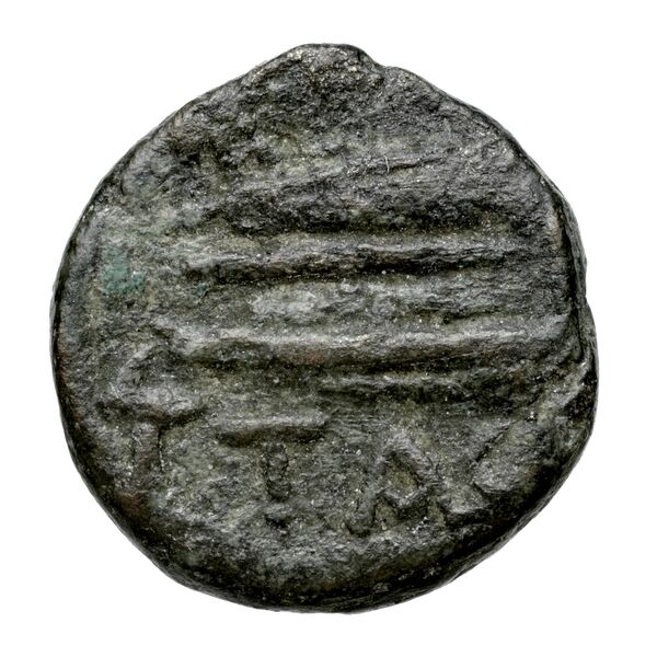 Aradus Duyrat 2005 4228-4381, реверс, bnf-iris