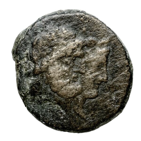 Aradus Duyrat 2005 4228-4381, аверс, bnf-iris