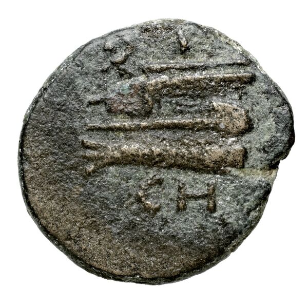Aradus Duyrat 2005 4228-4381, реверс, bnf-iris