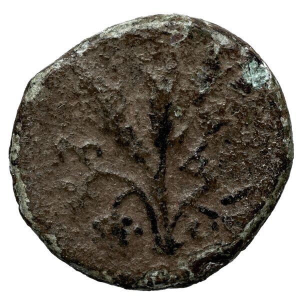 Aradus Duyrat 2005 4603-4617, реверс, bnf-iris