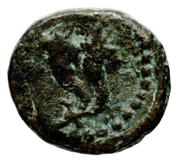 реверс Marathus Duyrat 2002 series 14
