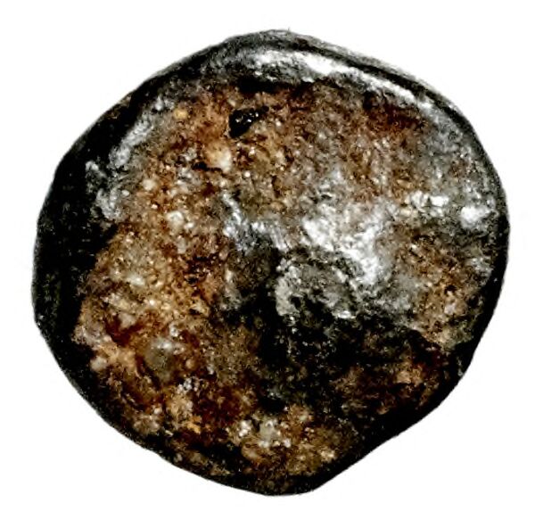 Aradus Elayi 2015 Pl. xiii, c11, реверс, bnf-iris