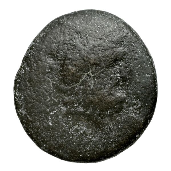 Deiotarus of Galatia Galatia Newell 1934 2, аверс, BnF (IRIS)