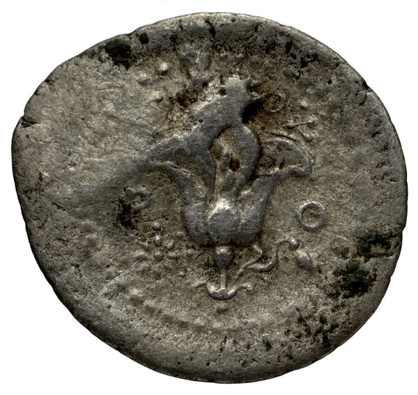 Rhodes Rhodes Ashton 2001 333, реверс, BnF (IRIS)