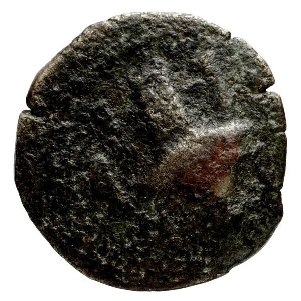 Antioch, Syria Butcher 2004 Seleucid Era b, аверс, BnF (IRIS)