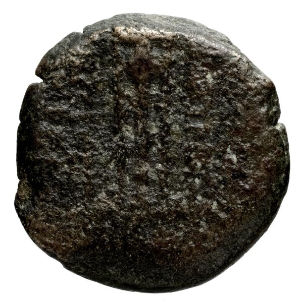 Antioch, Syria Butcher 2004 Seleucid Era b, реверс, BnF (IRIS)