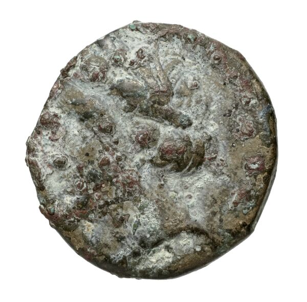 аверс Metapontum Historia Numorum Italy 1692