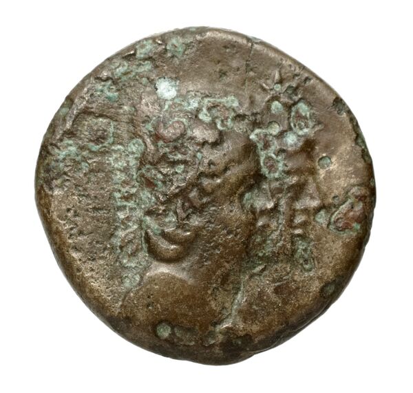 аверс Metapontum Historia Numorum Italy 1676