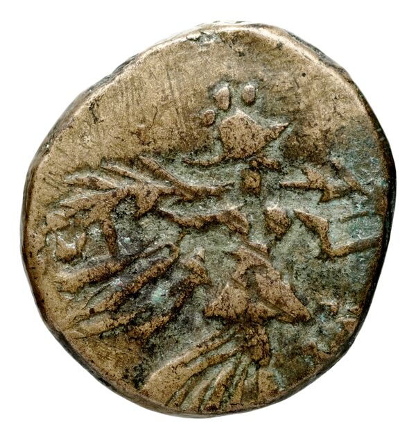 Amisus Waddington 1925 44, реверс, bnf-iris